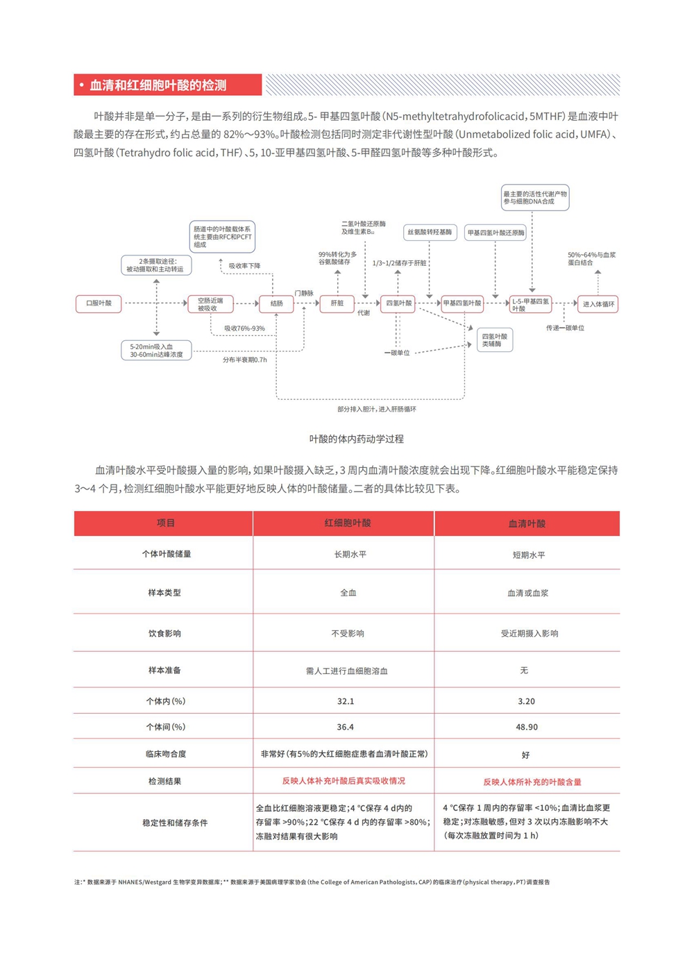 红细胞叶酸彩页_02.jpg