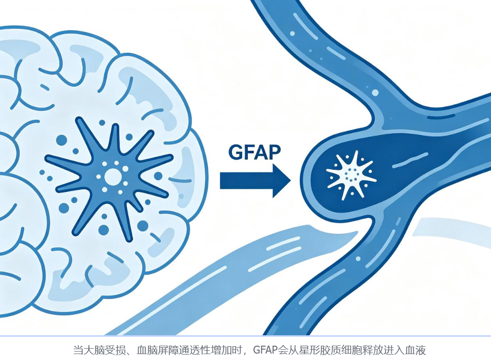 微信图片_2026-08-14_141209_093.png