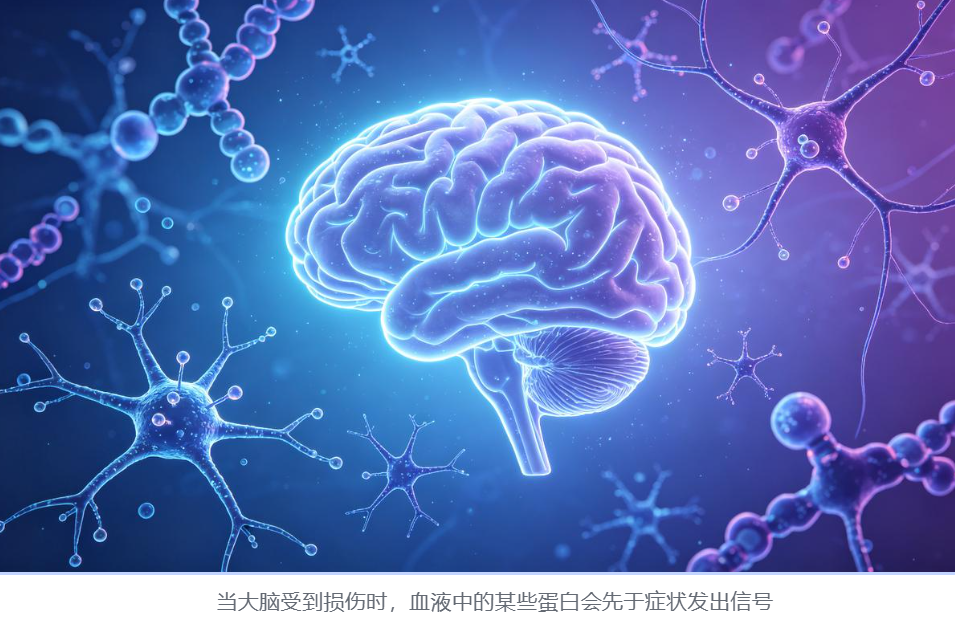 微信图片_2026-08-14_141219_220.png