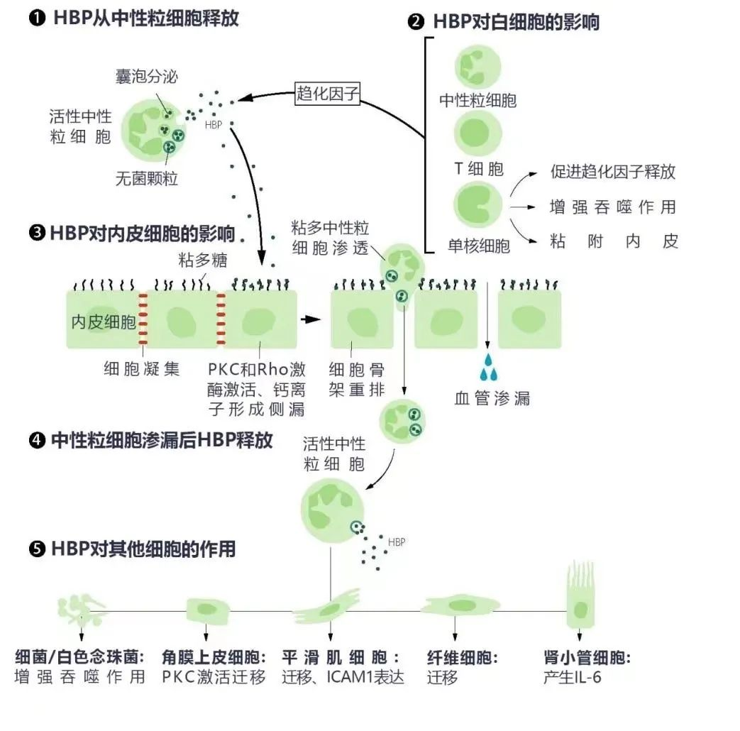 微信图片_2026-09-24_144332_348.png